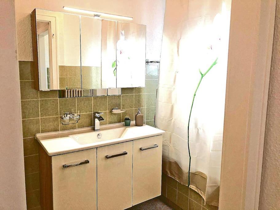 Inn Joy Apartments - Rorschach Mit Panoramasicht 外观 照片