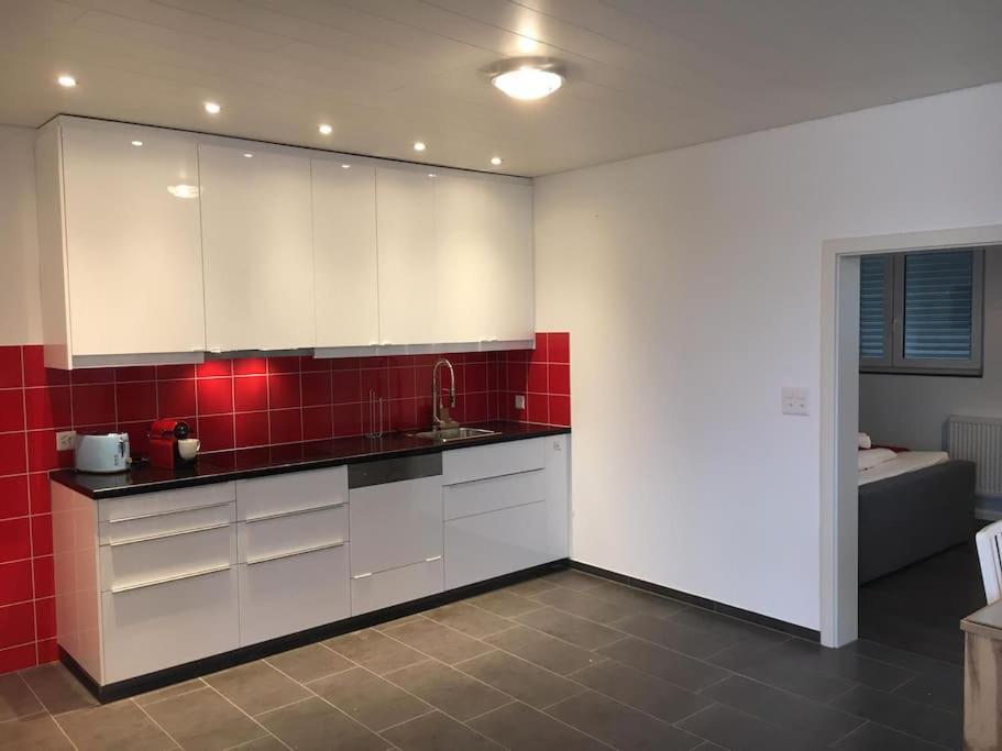 Inn Joy Apartments - Rorschach Mit Panoramasicht 外观 照片